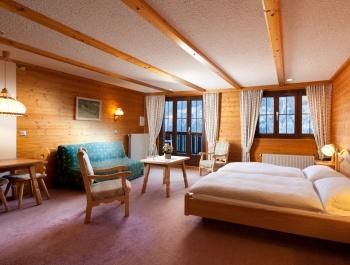 Chalet-H&ocirc;tel Aux Mille Etoiles &ndash; Double Superior Room