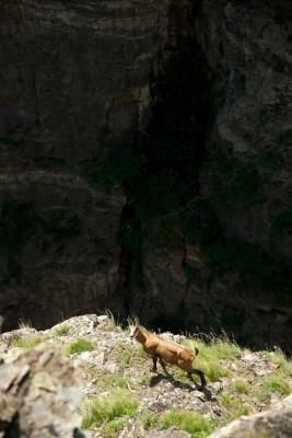 Chalet-H&ocirc;tel Aux Mille Etoiles &ndash; Surroundings