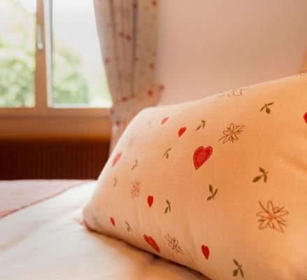 Chalet-H&ocirc;tel Aux Mille Etoiles &ndash; Double Superior Room 