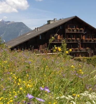 Chalet-H&ocirc;tel Aux Mille Etoiles - Exterior