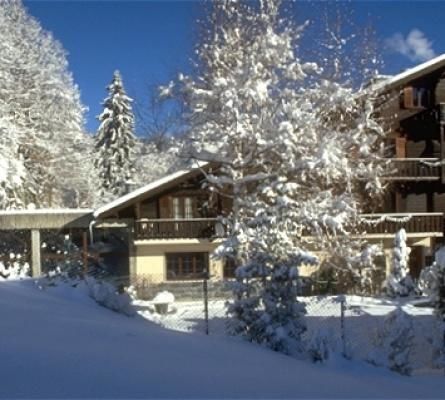 Chalet-H&ocirc;tel Aux Mille Etoiles - Exterior