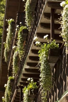 Chalet-H&ocirc;tel Aux Mille Etoiles - Exterior