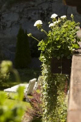 Chalet-H&ocirc;tel Aux Mille Etoiles - Exterior